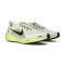 Tenis Nike Air Zoom Pegasus 41