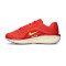Nike Winflo 11 Running shoes