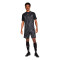 Nike Akademie Essentials Shorts