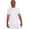 Camiseta Nike Academy Essentials
