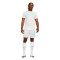 Camiseta Nike Academy 23 Graphic