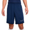 Pantalón corto Nike Academy 25