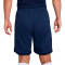 Pantalón corto Nike Academy 25