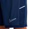 Pantalón corto Nike Academy 25