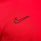 Camiseta Nike Academy 25
