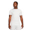 Camiseta Nike Academy 25