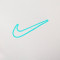 Camiseta Nike Academy 25