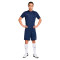 Camiseta Nike Academy 25