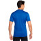 Camiseta Nike Academy 25