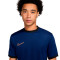 Camiseta Nike Academy 25