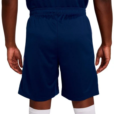 Dri-Fit Strike Shorts