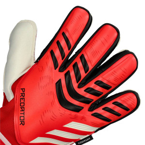 DORSO-2