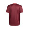 Camiseta adidas FC Bayern Fanswear 2024-2025