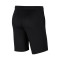 Nike Park 20 Niño A.E. Les Corts Bermuda Shorts