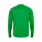 Hummel Real Betis 2024-2025 Pre-Match  Sweatshirt