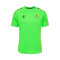 Camiseta Hummel Real Betis Training 2024-2025