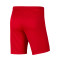 Pantalón corto Nike Park III Knit Gimnástica de Torrelavega Niño