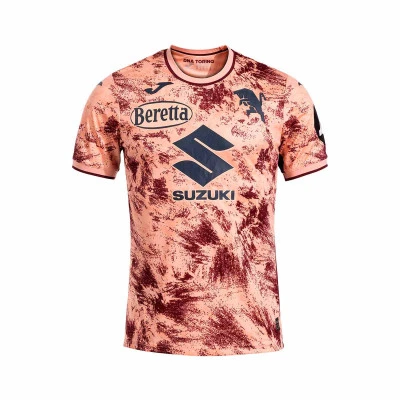 Torino 2024-2025 Third Jersey