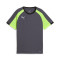 Jersey Puma IndividualLiga Jersey Jr.