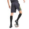 Short Puma Individualliga Training Shorts 2 (Open Pockets)