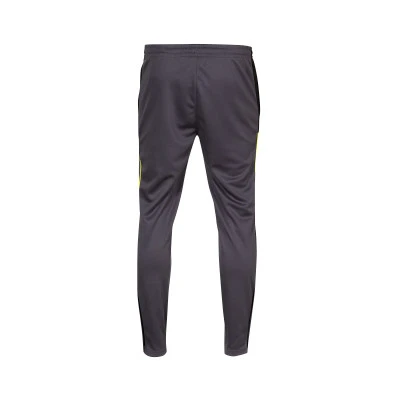 Individualliga Training Pants Lange Hosen