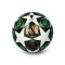 Ballon adidas Champions League 2024-2025 Pro Sala