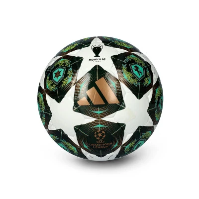 Champions League 2024-2025 Pro Sala Ball