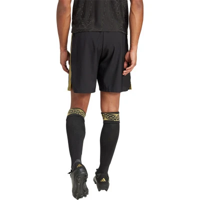 Mexiko -Sonderausgabe Shorts