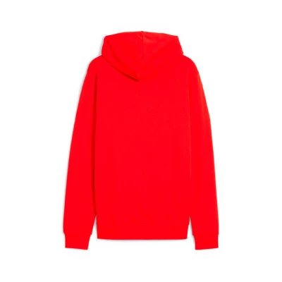 Con Capucha teamGOAL Sweatshirt