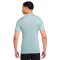 Camiseta Nike Academy 25