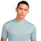 Camiseta Nike Academy 25