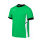 Camiseta Nike Academy 25