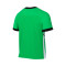Camiseta Nike Academy 25