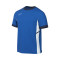 Camiseta Nike Academy 25