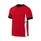 Camiseta Nike Academy 25
