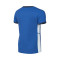 Camiseta Nike Academy 25 Niño