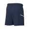 Nike Kids' Academy 25 Shorts