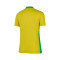 Nike Brazil Women's Copa América 2025 Home Jersey