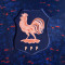 Nike Frankreich Frauen Euro 2025 Trikot