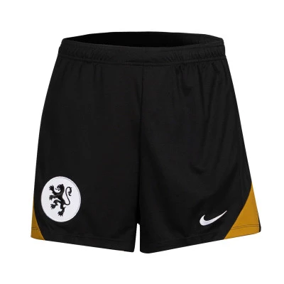 Netherlands Women's Euro 2025 Training Shorts