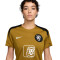 Nike Niederlande Frauen Euro 2025 Training T-Shirt