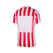 Nike Atlético de Madrid Authentic 2025-2026 Home Jersey