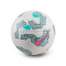 Balón Nike Academy