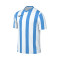 Camiseta Nike Striped Division V m/c
