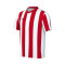 Camiseta Nike Striped Division V m/c