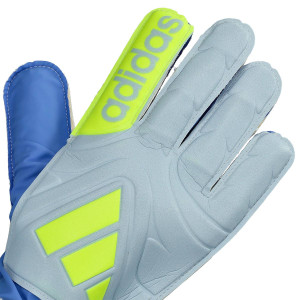 DORSO-2