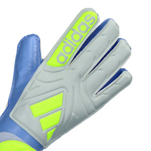 DORSO-2