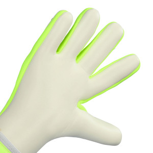 PALM-1