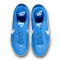 Zapatilla Nike Gato