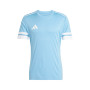 Squadra 25-Team Light Blue-White